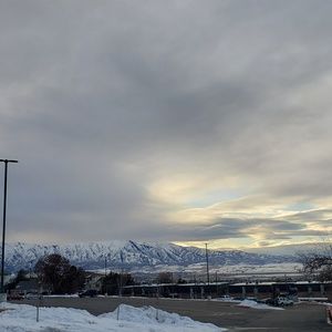 Meet your Posher, Lizzy